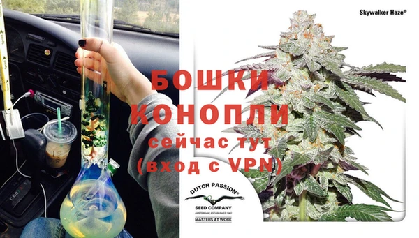 СК Верея