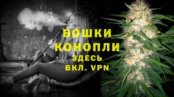 сатива Верхний Тагил