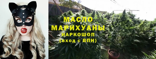 сатива Верхний Тагил