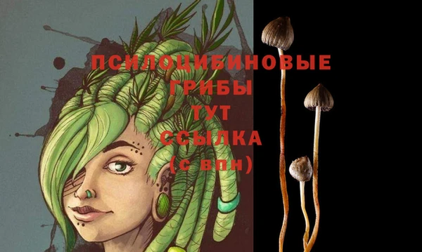 сатива Верхний Тагил